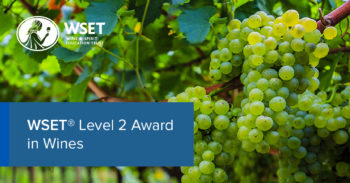 Happy Hotelier is now a WSet Level 2 Intermediate Wine Conoisseur - Happy  Hotelier