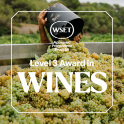 Niveau 3 - WSET® en vins - français - 30.10.2026 - Berne - clôture des inscriptions le 29.09.2026